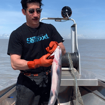 Subscribe & Save: Wild Alaskan Sockeye Salmon Fillets (6oz)