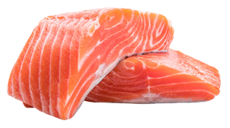 Salmon