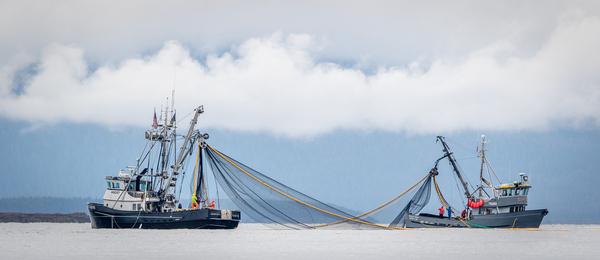Impact of Russian Sanctions on Seafood Supply Chain
