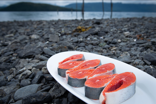 Five raw salmon steaks on a white plate on rocky shore with water and hills in background