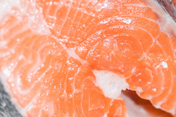 close-up of raw salmon flesh showing texture and fat lines