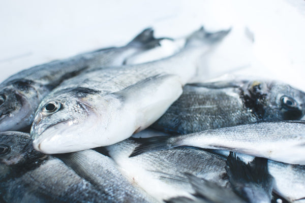 Close-up of several fresh whole fish with silvery scales lying on a white surface.