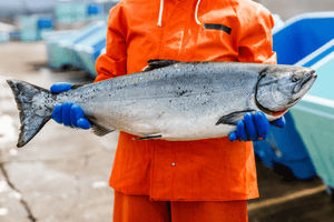 Person in orange waterproof coat holding a large king salmon, wearing blue gloves