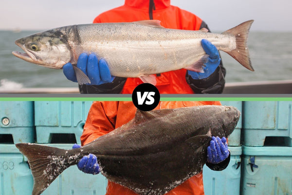 Person in orange holding a salmon above and a halibut below with blue gloves, separated by a black circle with 'VS' text