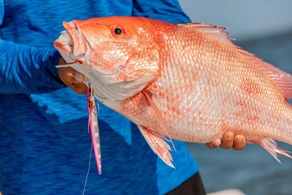 Large red snapper held by an angler, hooked with a pink-and-silver fishing jig near its mouth