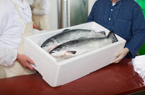 Seafood Supply Chain in the US Market