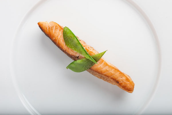 a slice of salmon on a plate