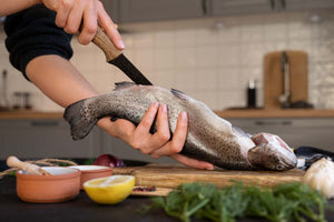 filleting a fish using a fish fillet knife