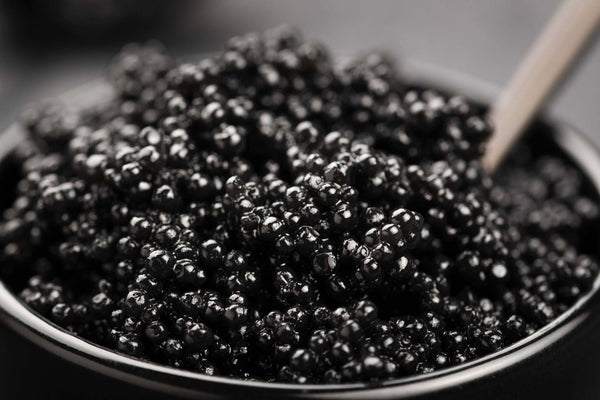 high angle of black caviar