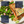 Salmon dish with green vegetables on a plate, labeled for health benefits.
