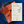 Sockeye Salmon on a blue plate with nutritional information card on a blue background